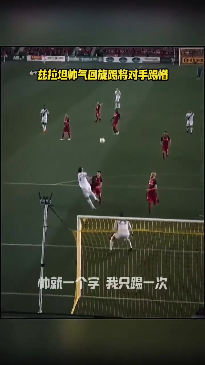 伊布：帅就一个字，哥只说一次！