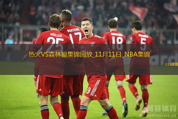 11月11日NBA常规赛 热火 - 森林狼 精彩镜头