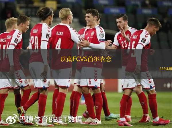 庆南FCVS首尔衣恋