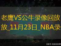 2024年11月23日NBA杯小组赛老鹰vs公牛