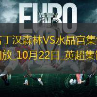 英超-克里斯-伍德破门制胜诺丁汉森林1-0水晶宫
