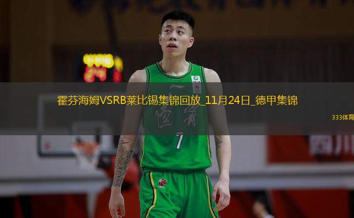德甲-赫洛泽克双响拉尔森绝杀霍芬海姆4-3莱比锡