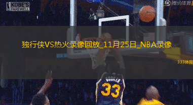 2024年11月25日NBA常规赛独行侠vs热火