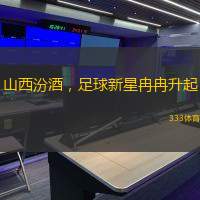 山西汾酒，足球新星冉冉升起