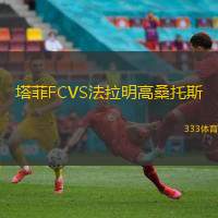 塔菲FCVS法拉明高桑托斯