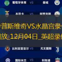 英超第14轮伊普斯维奇0-1水晶宫