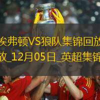 英超-道森两乌龙阿什利杨任意球破门埃弗顿4-0狼队
