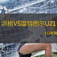 洪格VS温特图尔U21