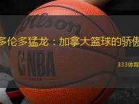 多伦多猛龙：加拿大篮球的骄傲