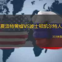 夏洛特黄蜂VS波士顿凯尔特人