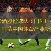山西汾酒股份球队：白酒巨头进军足球，打造中国体育产业新格局