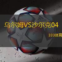 乌尔姆VS沙尔克04