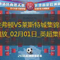 02月01日英超第24轮埃弗顿vs莱斯特城进球