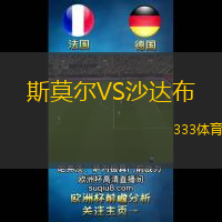 斯莫尔VS沙达布