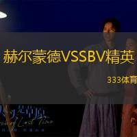 赫尔蒙德VSSBV精英