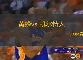 黄蜂vs 凯尔特人(NBA)