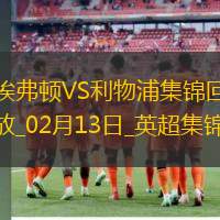 02月13日英超第15轮补赛埃弗顿vs利物浦进球视频