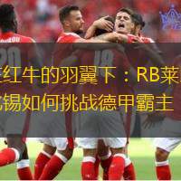 在红牛的羽翼下：RB莱比锡如何挑战德甲霸主