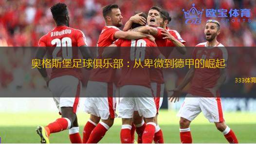 奥格斯堡足球俱乐部：从卑微到德甲的崛起