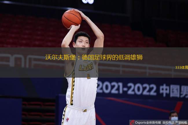 沃尔夫斯堡：德国足球界的低调雄狮