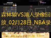 NBA常规赛森林狼102-111湖人