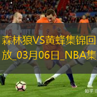 03月06日NBA常规赛 森林狼 - 黄蜂 精彩镜头