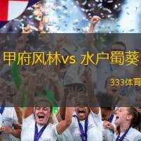 甲府风林vs 水户蜀葵(日职乙)