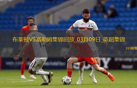 英超-若昂-佩德罗98分钟点球绝杀布莱顿2-1富勒姆
