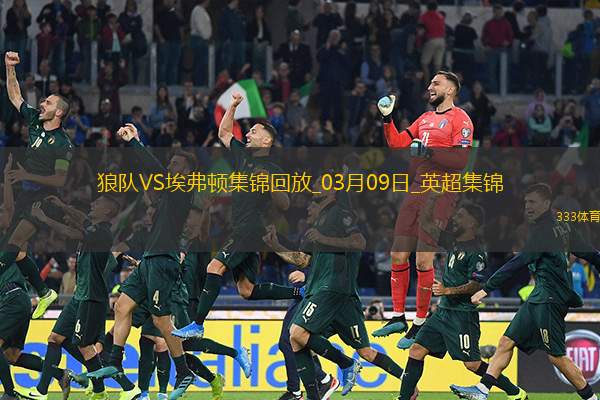 英超-哈里森破门穆涅西扳平狼队1-1战平埃弗顿
