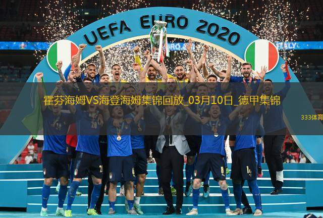 德甲-塔巴科维奇破门齐夫齐瓦泽扳平霍芬海姆1-1海登海姆