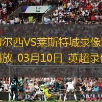 英超第28轮切尔西1-0莱斯特城