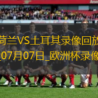 欧洲杯1/4决赛荷兰2-1土耳其