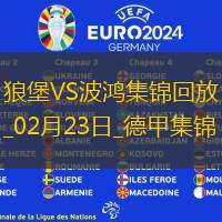 德甲-马索维奇破门斯万贝里扳平沃尔夫斯堡1-1战平波鸿
