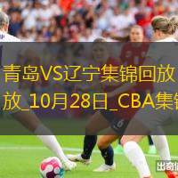 10月28日CBA常规赛 青岛 - 辽宁 精彩镜头