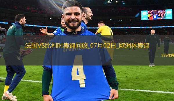 07月02日欧洲杯1/8决赛法国vs比利时精彩片段
