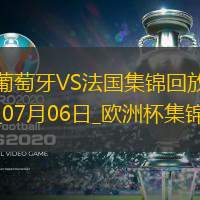 07月06日欧洲杯1/4决赛葡萄牙vs法国精彩片段