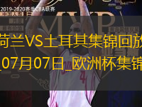 07月07日欧洲杯1/4决赛荷兰vs土耳其精彩片段