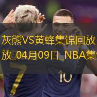 04月09日NBA常规赛 灰熊 - 黄蜂 精彩镜头