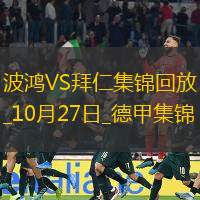 10月27日德甲第8轮波鸿vs拜仁慕尼黑进球视频