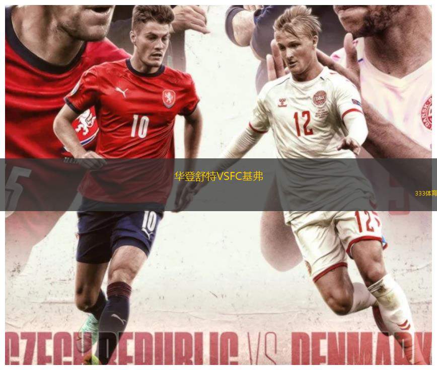 华登舒特VSFC基弗