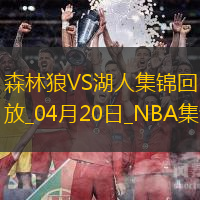 04月20日NBA季后赛西部首轮G1 森林狼 - 湖人 精彩镜头