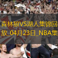 04月23日NBA季后赛西部首轮G2 森林狼 - 湖人 精彩镜头