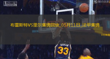 法甲-阿约克破门敦比亚建功布雷斯特2-0里尔