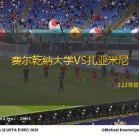 费尔乾纳大学VS扎亚米尼