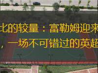 伦敦德比的较量：富勒姆迎来布莱顿的挑战，一场不可错过的英超盛宴
