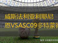 威斯法利亚利耶尼恩VSASC09多特蒙德