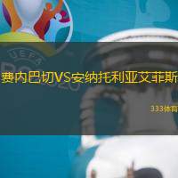 费内巴切VS安纳托利亚艾菲斯