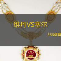 维丹VS塞尔