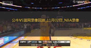 2024年11月2日NBA常规赛公牛vs篮网