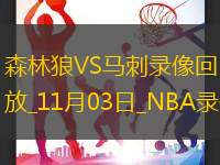 2024年11月3日NBA常规赛森林狼vs马刺